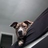 ThatmanT's profile picture