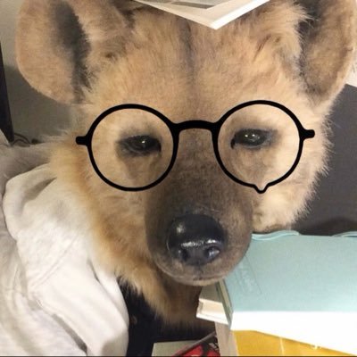 BANCO_624's profile picture