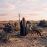 الفارس's profile picture