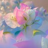 ๐ Hanin Nina ๐'s profile picture