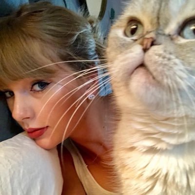 dearsswiftie's profile picture