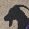 ¢lคŞŞi¢'s profile picture