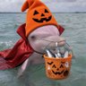 Profilbild von 🤿🌊 A Sea Of Thoughts 🇺🇸🎃
