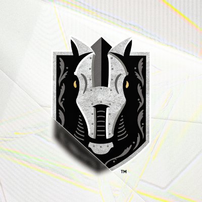 HSKnights's profile picture