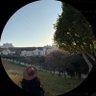 A's profile picture