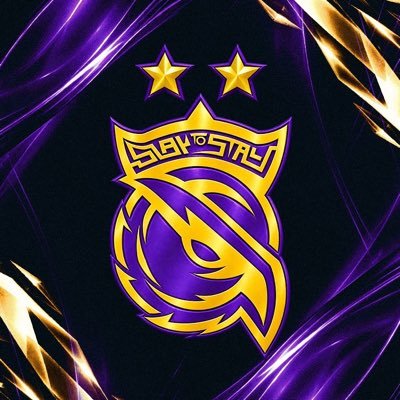 S2GEspor's profile picture