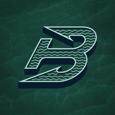 PWHL_Boston's profile picture