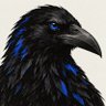 rook's profile picture