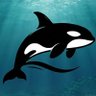 Orca 的头像