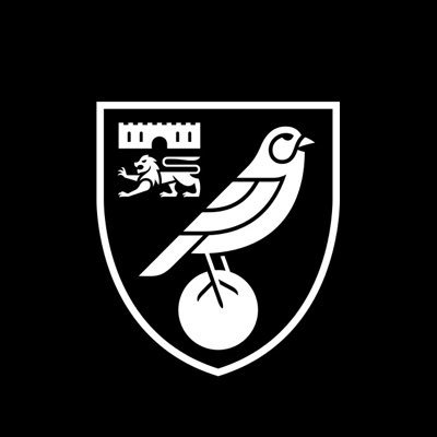 NorwichCityFC's profile picture