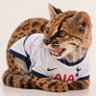 Profilbild von Dot