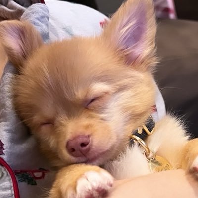 khunyaimormor's profile picture