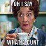 T Witter's profile picture