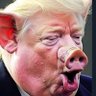weholdthesetruths's profile picture