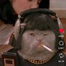 Aura Maxine's profile picture