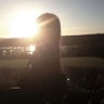 21's profile picture