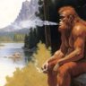anti_ai's profile picture