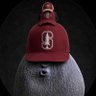 PAC 12 Denier's profile picture