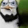 Profilbild von renatozxy