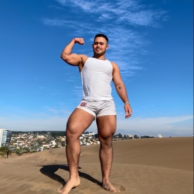 Alvaro 🐺's profile picture