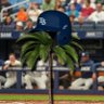 Palm Tree Pirate's profile picture