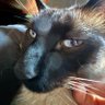 Peloponeso profil fotoğrafı