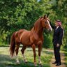 كمال العلي الدرغام فريحات's profile picture