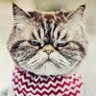 Profilbild von iain