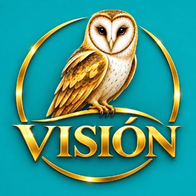 VISIÓN's profile picture