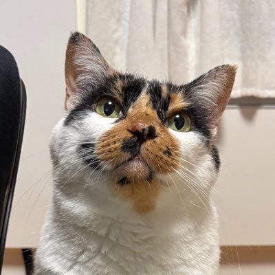 mican0502's profile picture