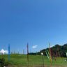 あーあ 的头像
