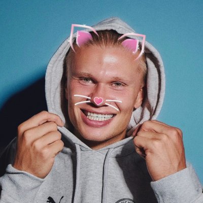 haalandbun's profile picture