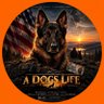 A Dogs Life's profile picture