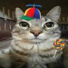 max's profile picture
