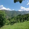 ابنِ کشمیر 的头像