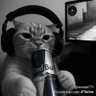 kyz's profile picture