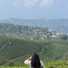 Nenu kadu's profile picture