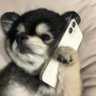 Profilbild von ひろしのん