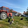 Фото профиля dünyalı