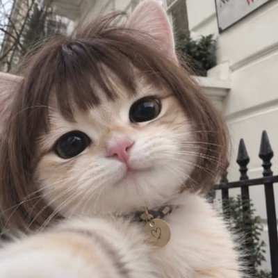 Charmooxk's profile picture