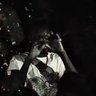 ༒ 𓆩Tєєkαѕн 𓆪 ༒'s profile picture