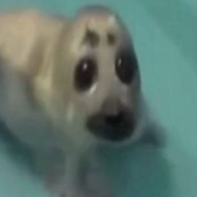 canagisaurus's profile picture
