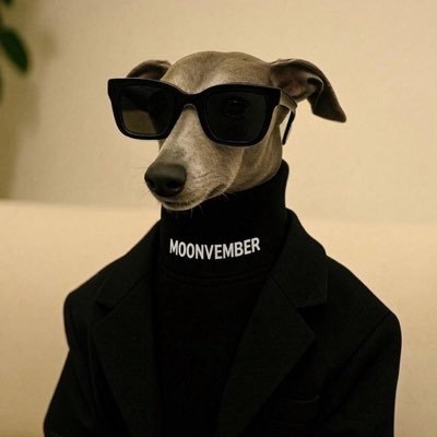 cm ✰'s profile picture