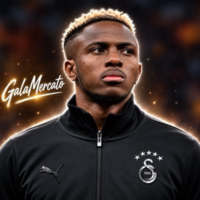 Gala Mercato's profile picture