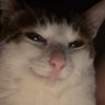 Fat Cawklus⁷ profil fotoğrafı