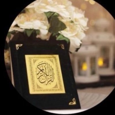 shhd27816702's profile picture