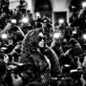 The lioness's profile picture