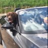 Dave's profile picture