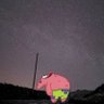 frånky profil fotoğrafı