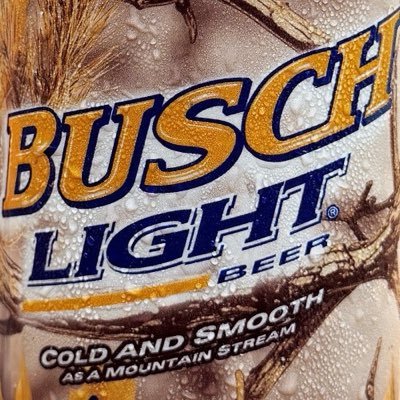 BuschBeer's profile picture